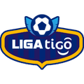 División de Fútbol Profesional logo